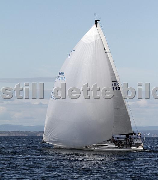 ORCi2 203.jpg